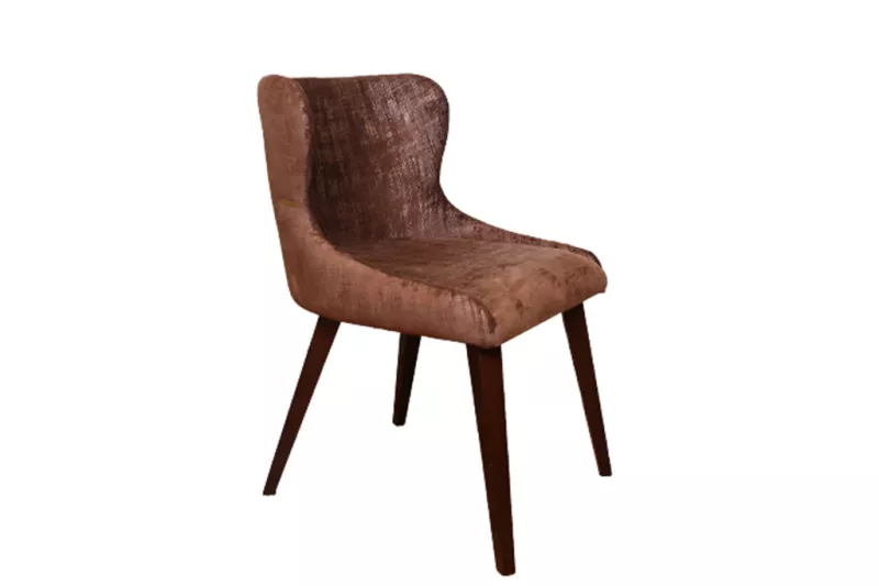 Modern Upholstered Chairs | Brown